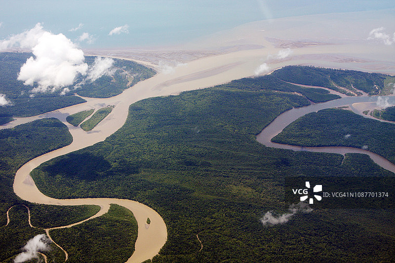 巴布亚低地图片素材