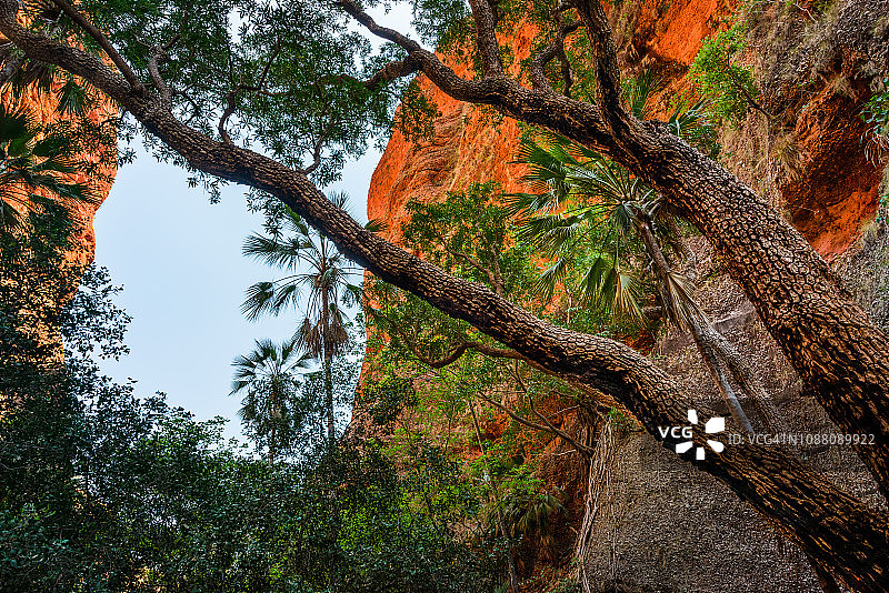 澳大利亚西澳大利亚州普努卢盧国家公园图片素材