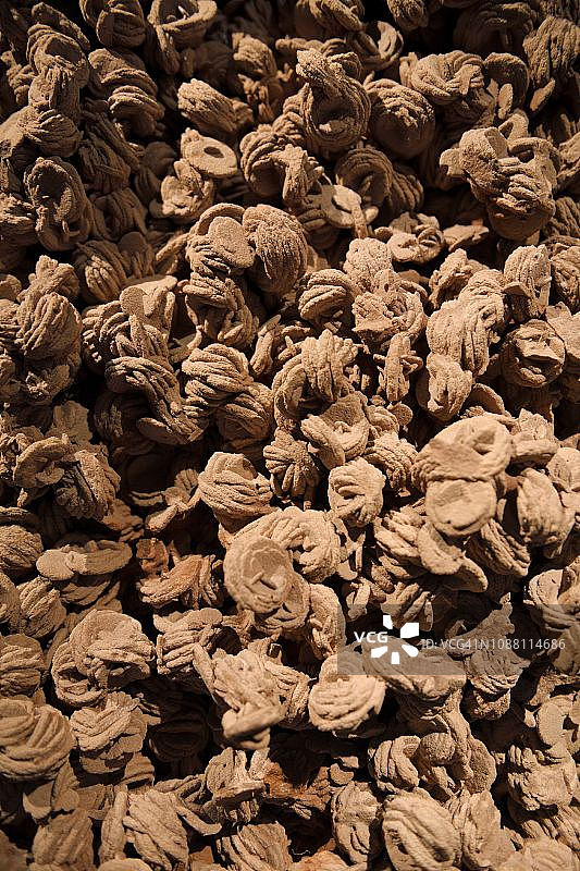 重晶石结晶形成的沙漠玫瑰图片素材