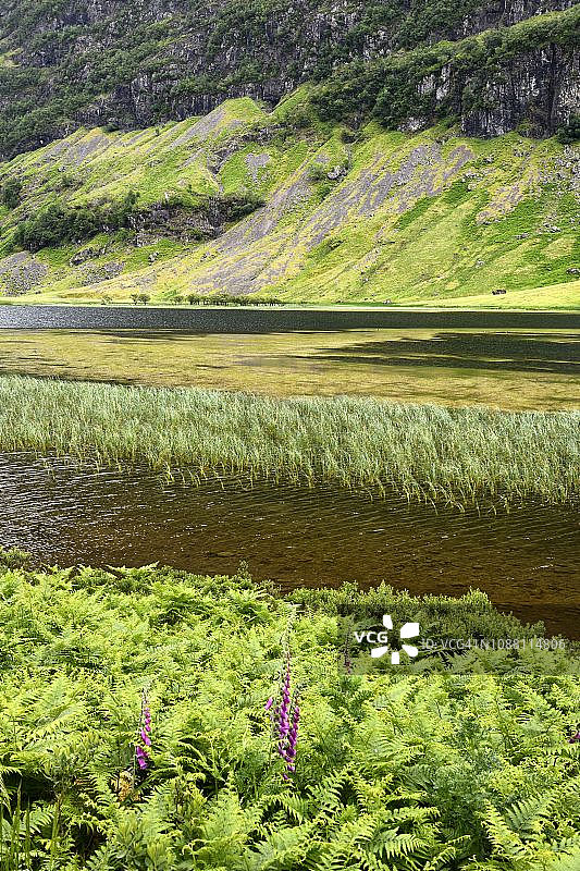 苏格兰高地格伦科峡谷Coe河上的阿赫特里奥赫坦湖细节图片素材