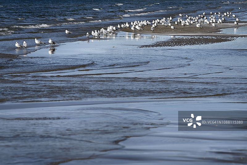 安大略湖沙堤省立公园海滩潮汐沙洲波浪细节图片素材