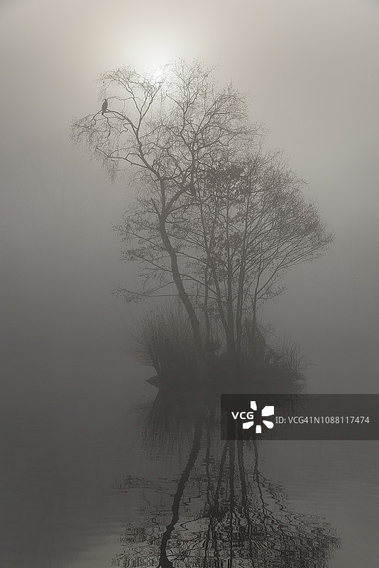 宁静的冬日清晨图片素材