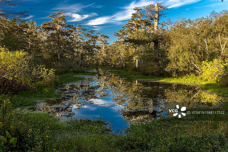 卡津沼泽与马丁湖，靠近路易斯安那州图片素材