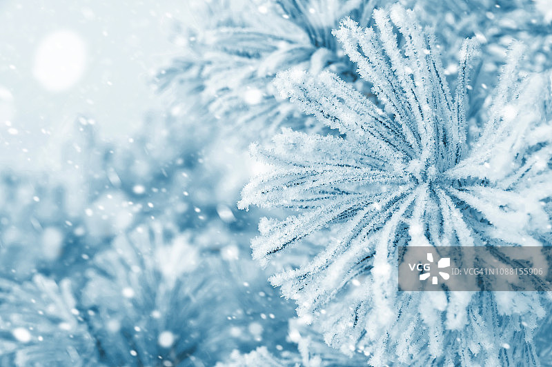 冬天的背景图片素材