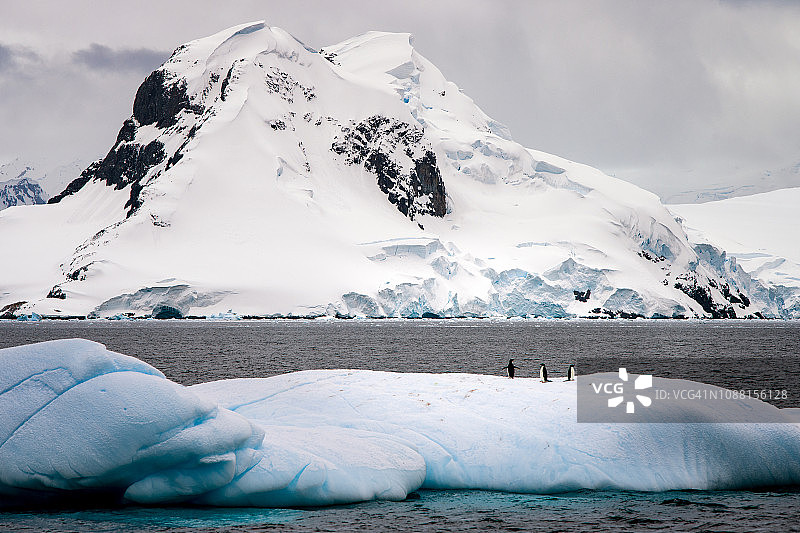 冰山上的企鹅图片素材