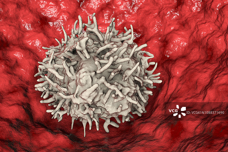 肺泡组织巨噬细胞插图图片素材