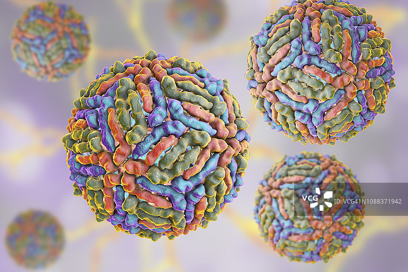 西尼罗河病毒颗粒插图图片素材