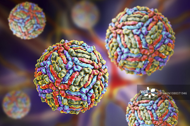 西尼罗河病毒颗粒插图图片素材