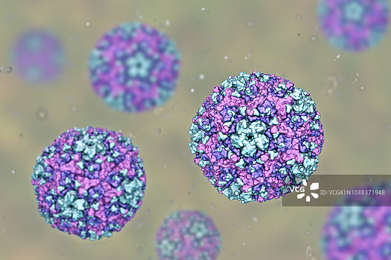 B组柯萨奇病毒，图示图片素材