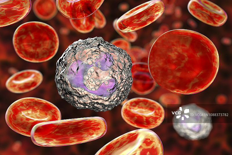 中性粒细胞白细胞插图图片素材