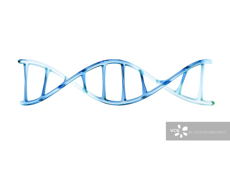 DNA分子、插图图片素材