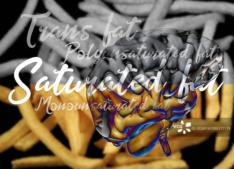 脂肪类型与人脑关系图解图片素材