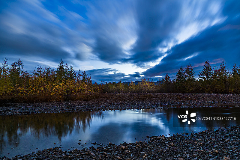 俄罗斯 rising 月光下的松树林图片素材