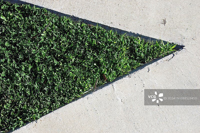 混凝土三角中的草图片素材