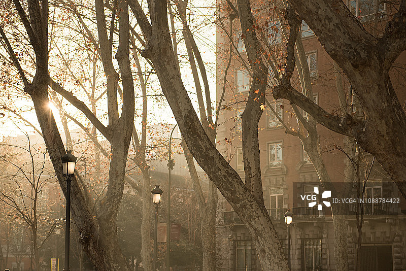 西班牙马德里卡斯特利亚纳大道上的迷人光线图片素材