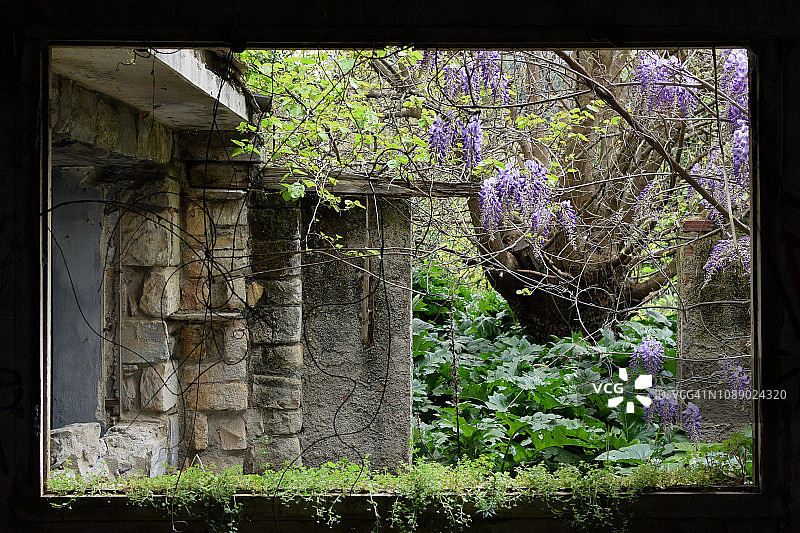 秘密花园里的寂静图片素材