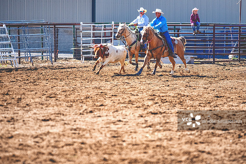 两个年轻牛仔骑马套牛图片素材