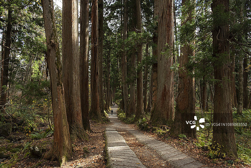 的方式图片素材