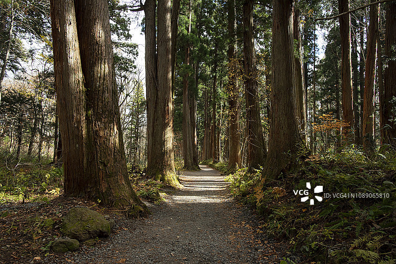 的方式图片素材