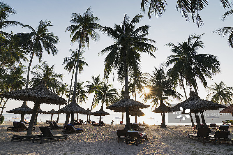 长滩日落时的棕榈树和茅草伞图片素材