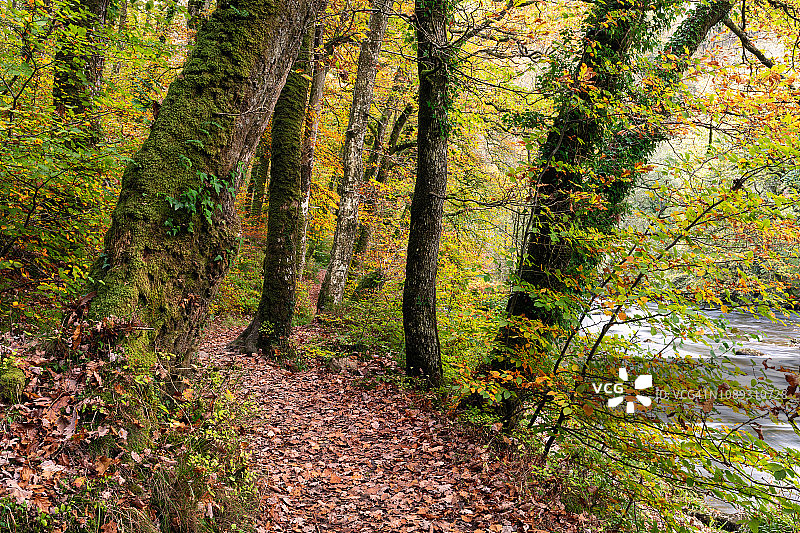 英国萨默塞特郡塔尔石阶图片素材