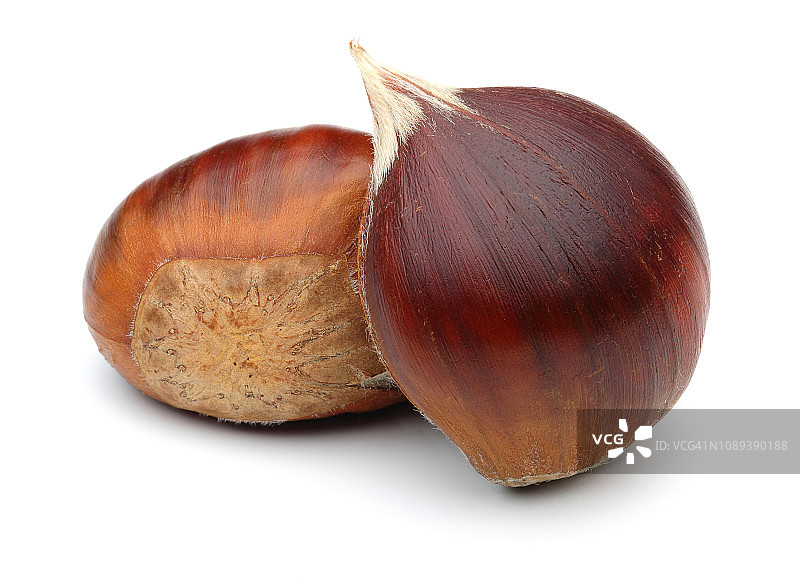 白色背景上的栗子图片素材