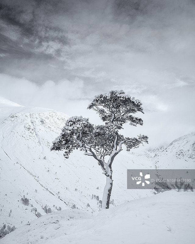 苏格兰高地冬季的格伦尼维斯图片素材