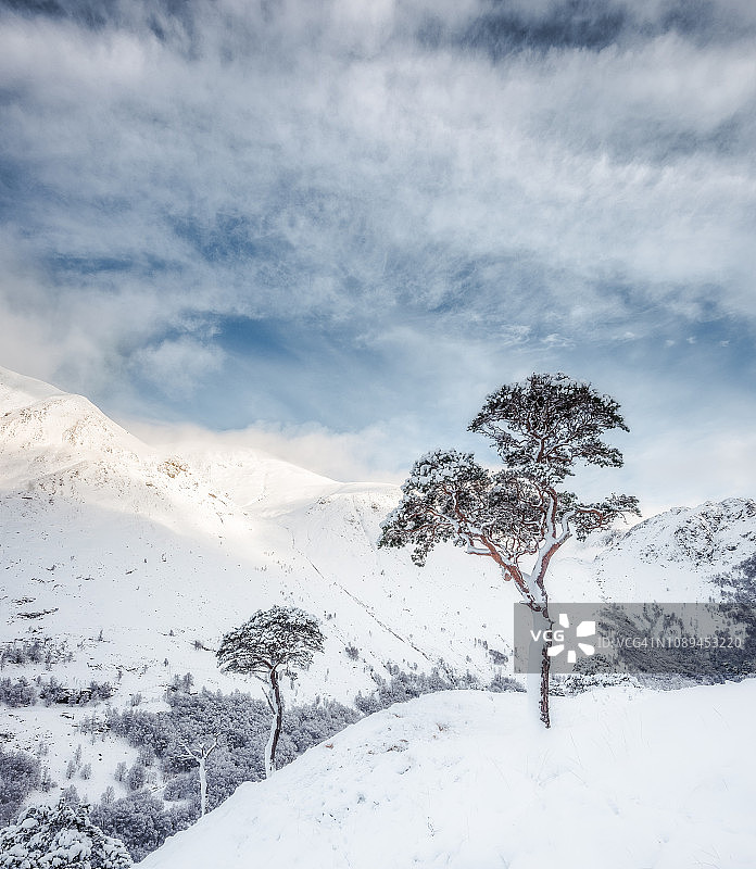 苏格兰高地冬季的格伦尼维斯图片素材