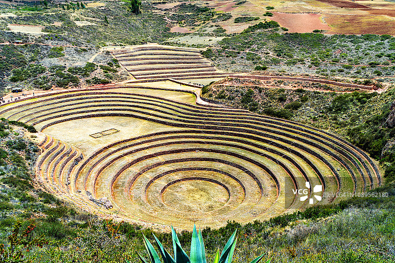 莫雷的农业梯田图片素材