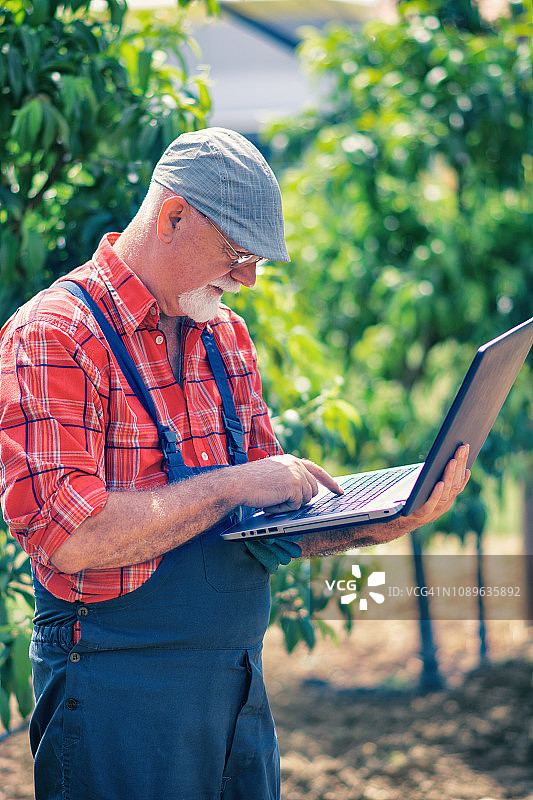 使用笔记本电脑的果园工人图片素材