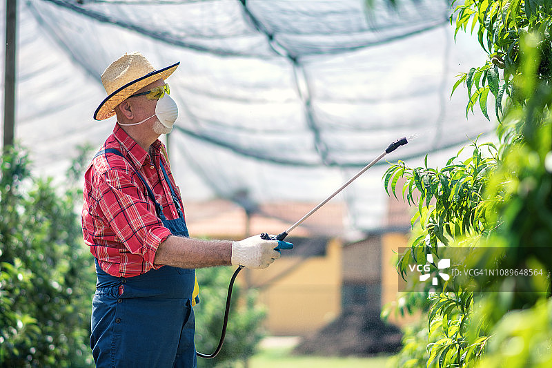 农民用化学品保护农作物图片素材