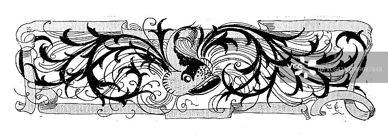 装饰古董艺术雕刻插画图片素材