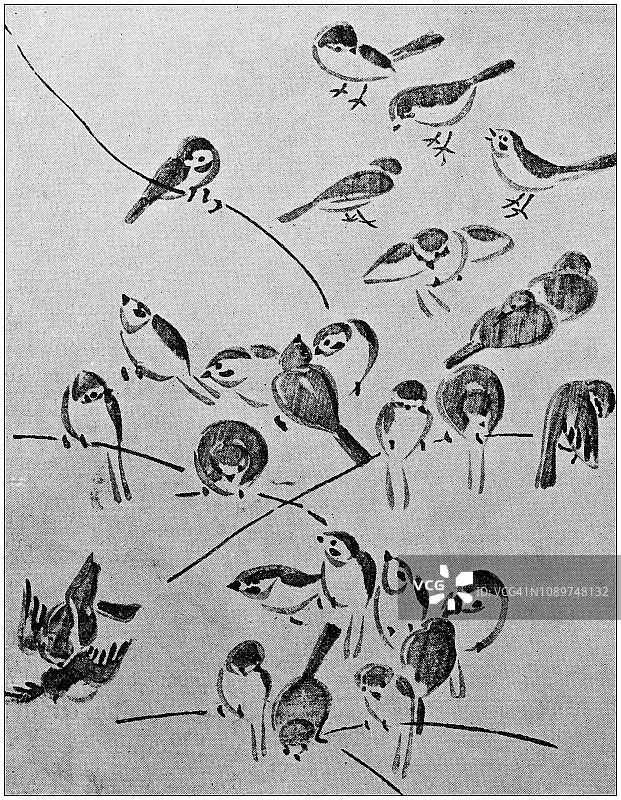 古代艺术绘画插图：日本艺术 - 鸟类图片素材