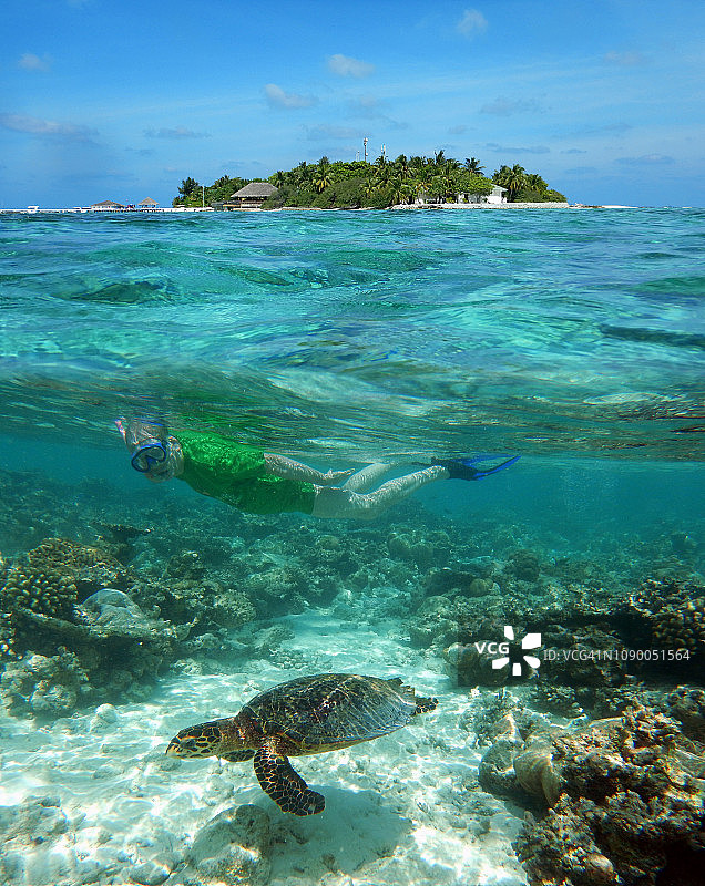 在马尔代夫泻湖与海龟浮潜的年长男人图片素材