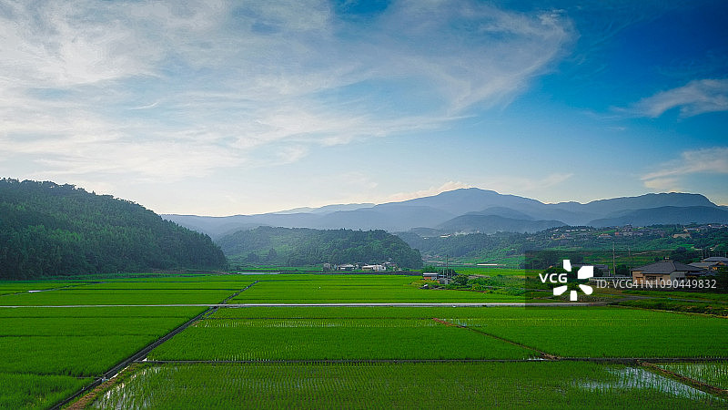 佐贺稻田日落，日本图片素材