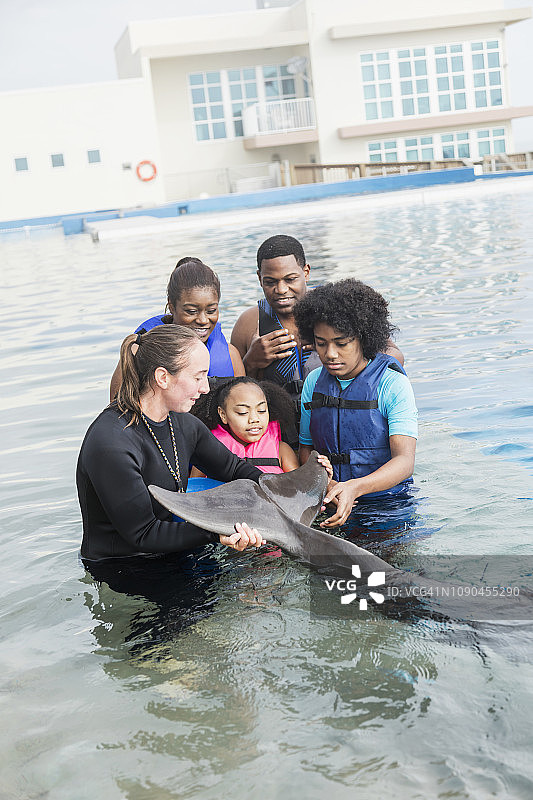 一家人在海洋公园与海豚和驯兽师互动图片素材