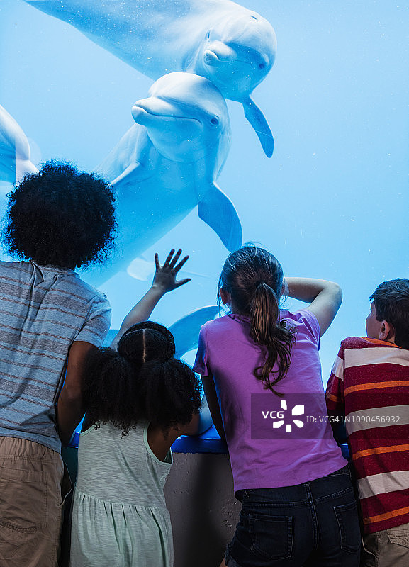 在水族馆观看海豚的各民族儿童图片素材