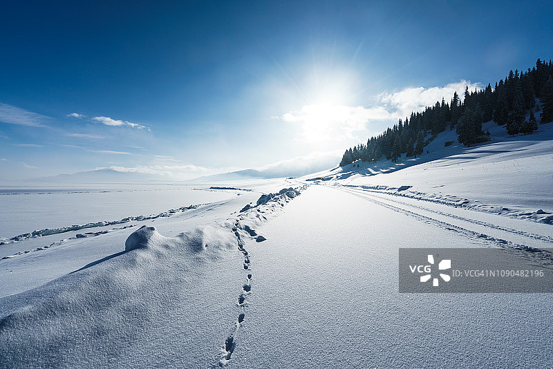 冬季雪路图片素材