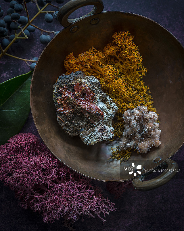 铬铅矿和硫铝钙石与干燥的苔藓。一种罕见的亮橙色矿物，由铬酸铅组成。硫铝酸钙石是一种钙铝硫酸盐氟氢氧化物矿物。图片素材