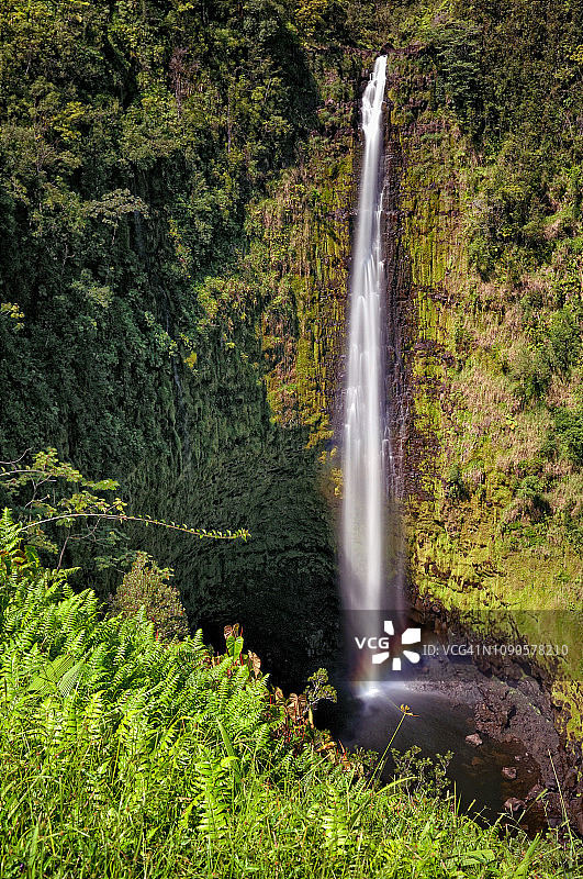 阳光在夏威夷阿卡卡瀑布脚下形成一道小彩虹图片素材