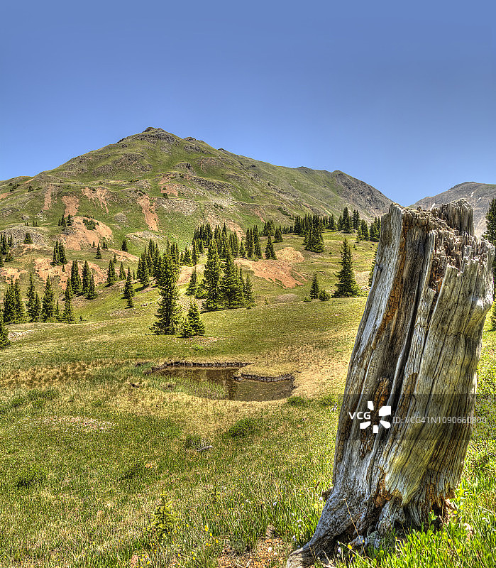 树桩、池塘和山脉全景图片素材