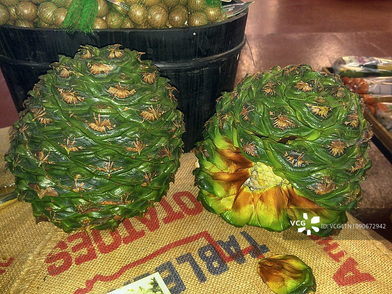 澳洲杉坚果图片素材