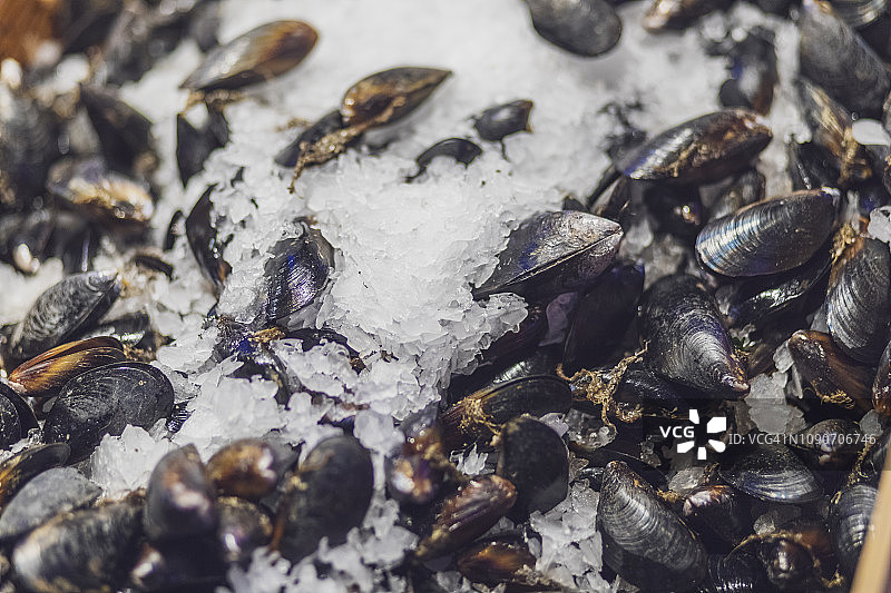 美国西雅图派克市场公共市场冰上的蓝色贻贝图片素材