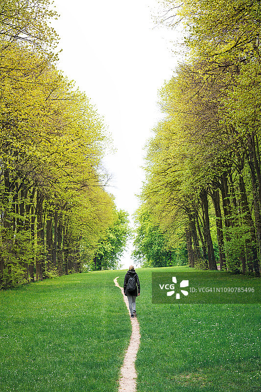 巴黎的绿色小路图片素材