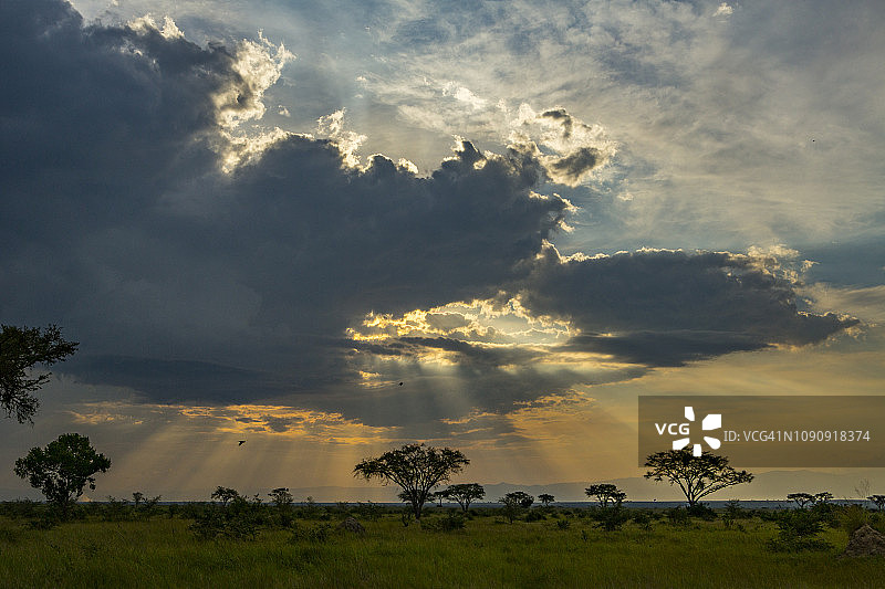 乌干达伊丽莎白女王国家公园的黄昏图片素材