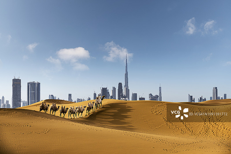 沿着沙漠眺望商业区图片素材