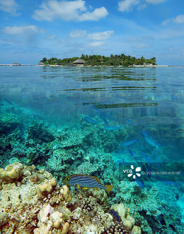 马尔代夫埃里亚度岛错层式景观图片素材