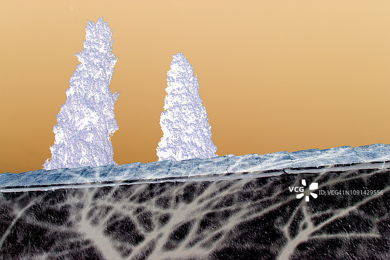 树木的影子图片素材