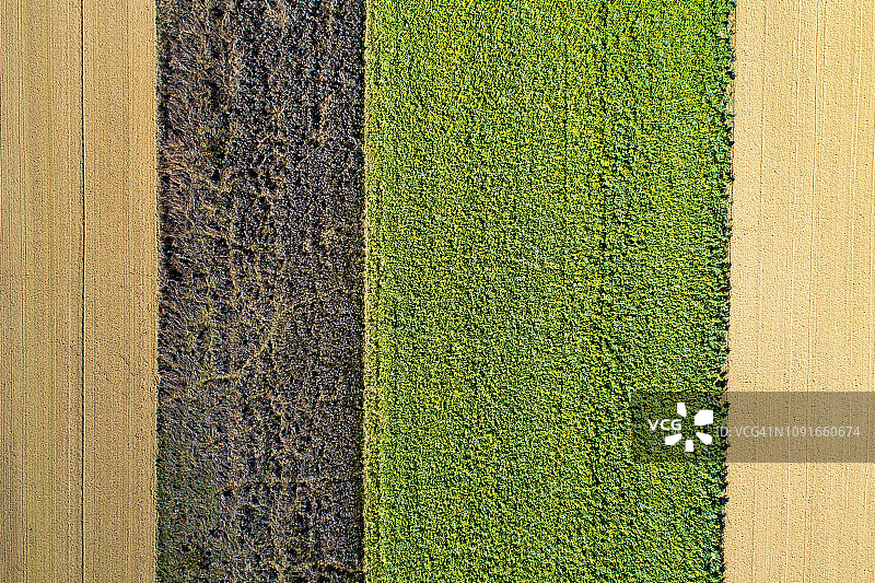 彩色图案农业田地图片素材