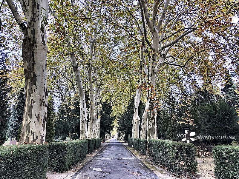 新克尔恩的阿妮塔·柏伯公园图片素材